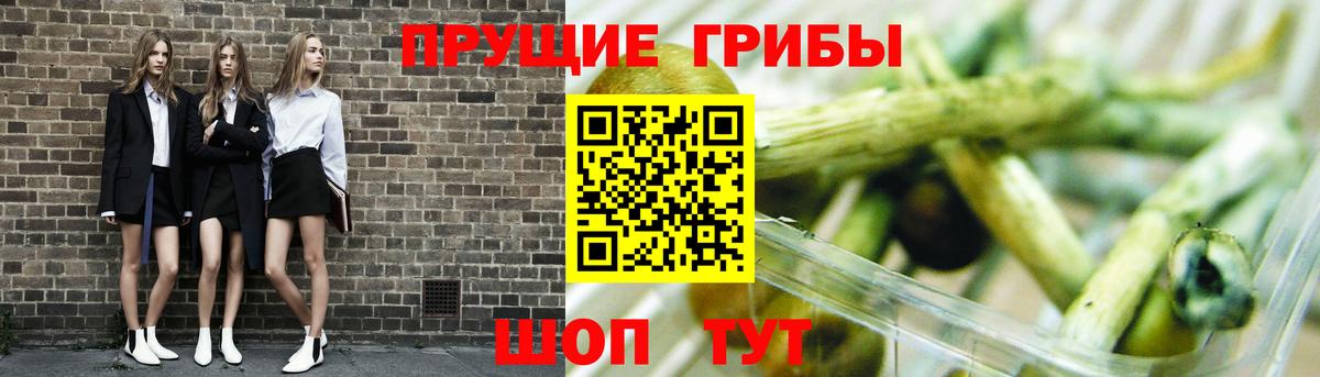 Псилоцибиновые грибы Psilocybe  Вход с VPN  Волжский 